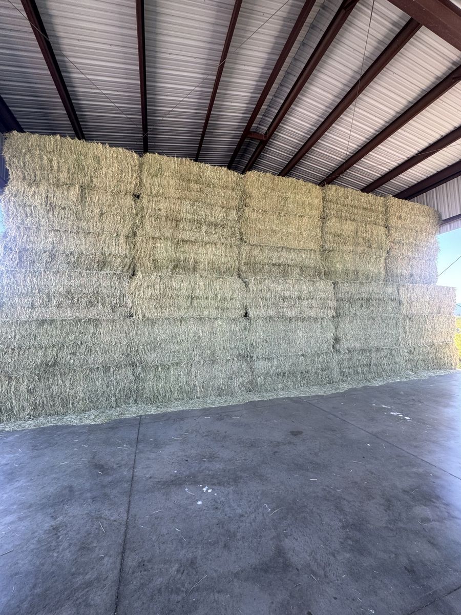Premium grass hay
