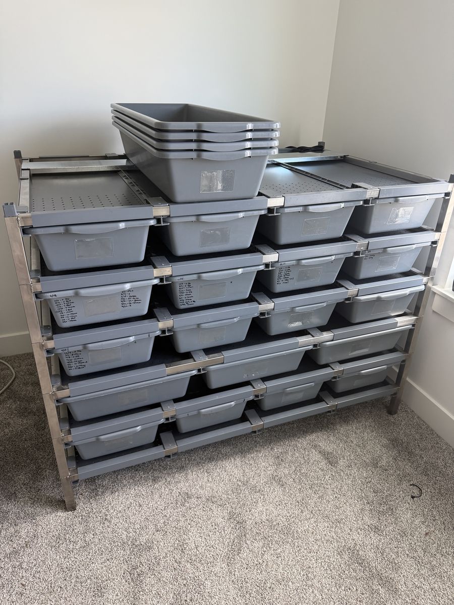 Freedom Breeder Reptile Rack - 6 tier (23 tubs)