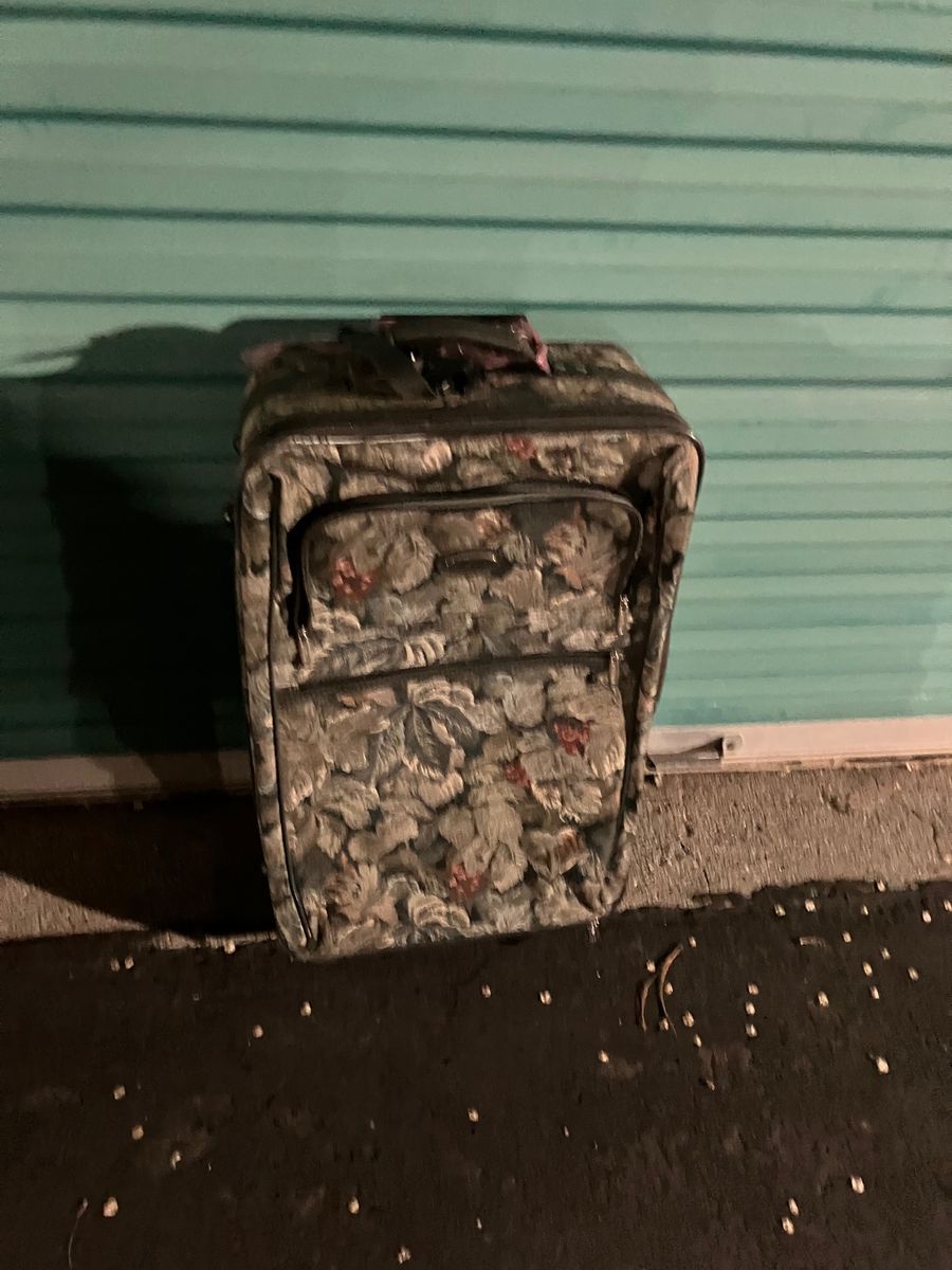 Jaguar Brand Suitcase With Handle and Wheels