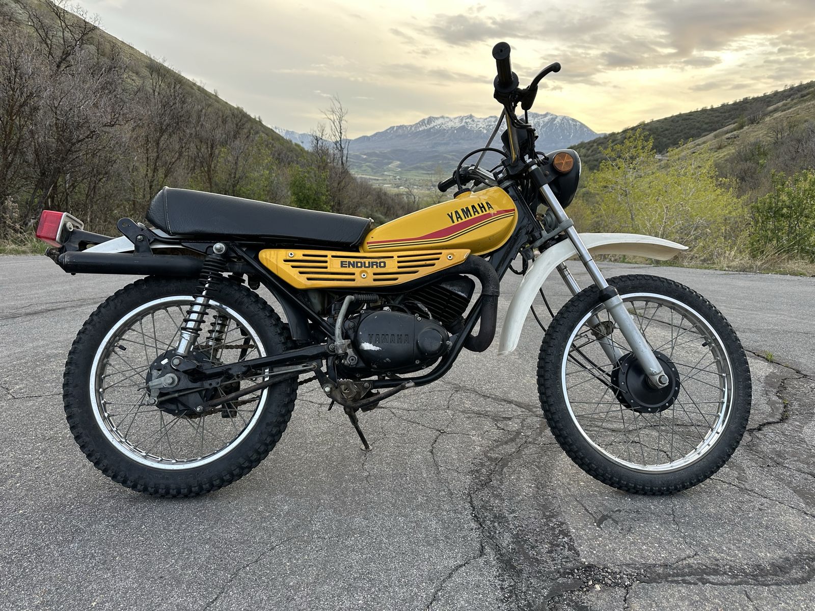 1982 Yamaha DT100