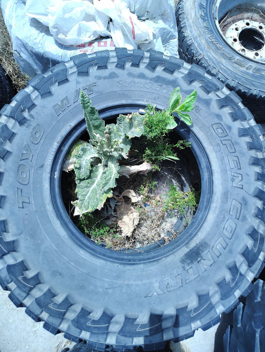 Toyo m/t  37 x 13.50