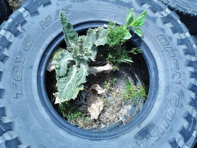 Toyo m/t 37 x 13.50