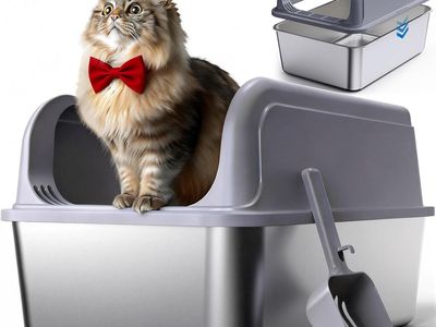 Litterbox (NOT CLEAN!)