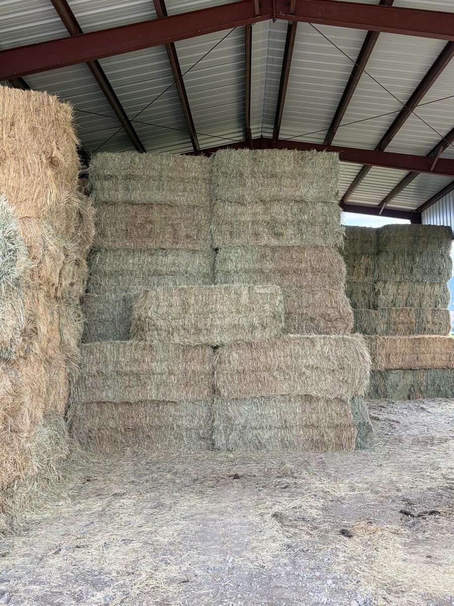 3x3x8 Grass Hay
