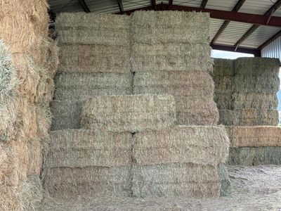 3x3x8 Grass Hay
