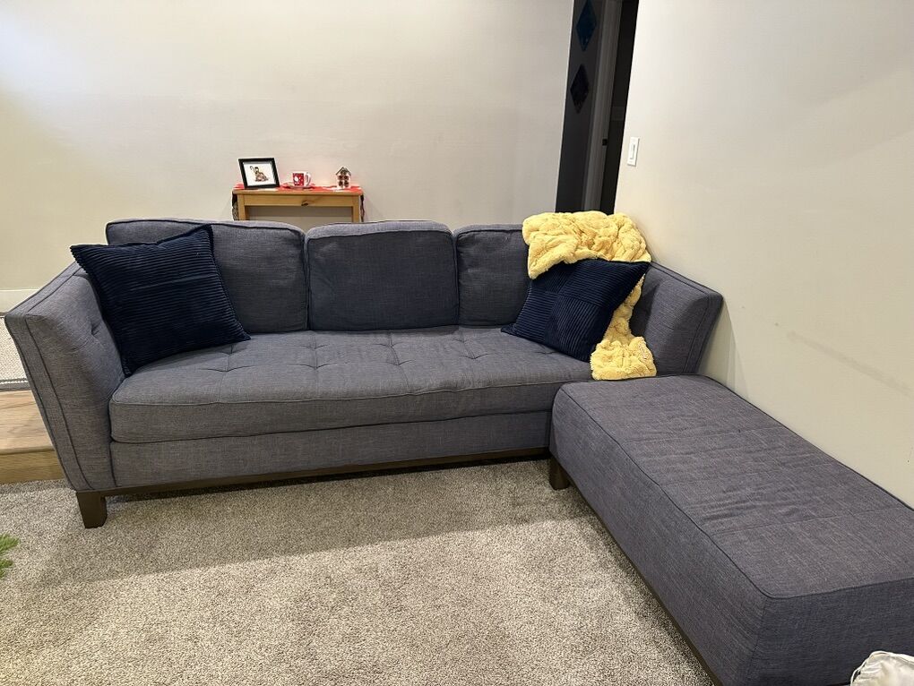 Chic Blue Coach- Perfect For Any Room!