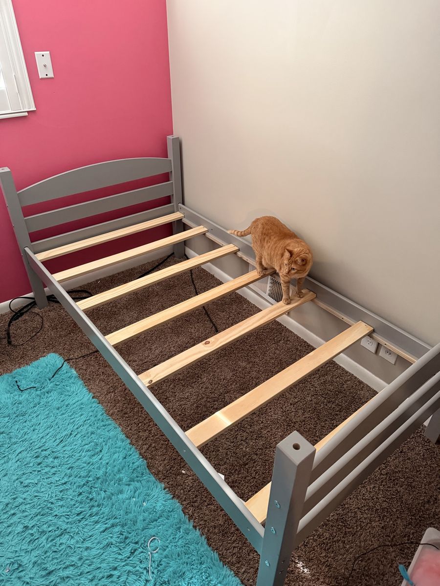Twin bottom bunk (cat not included.)
