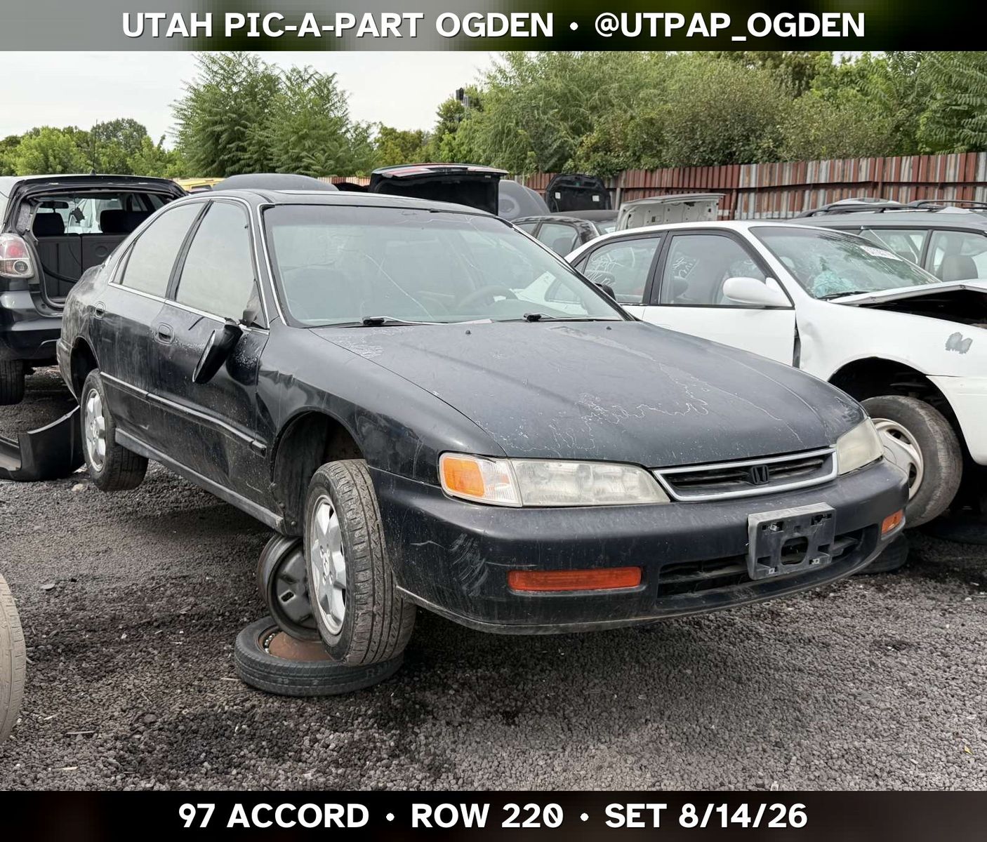 Just In! 1997 Honda Accord Parts - UTPAP Ogden