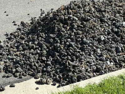 Free black lava rocks