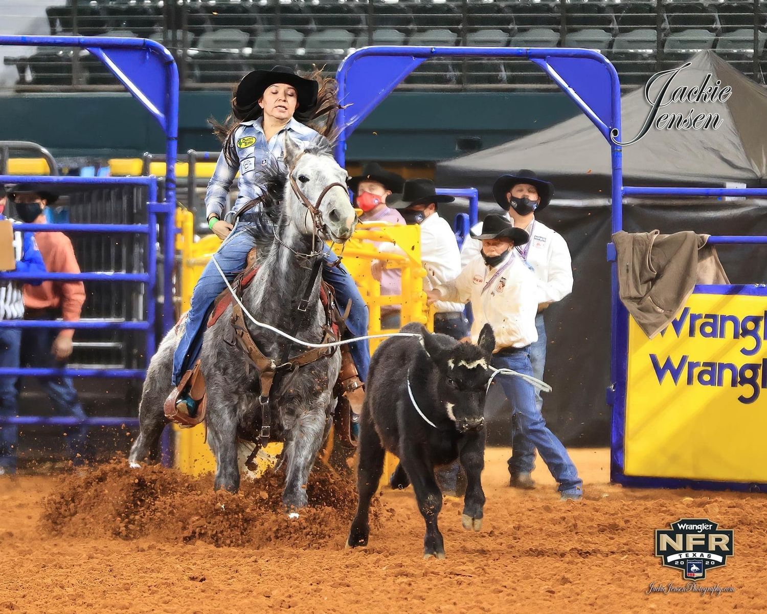 13 year old Pro Rodeo Breakaway Gelding