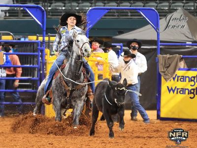 13 year old Pro Rodeo Breakaway Gelding
