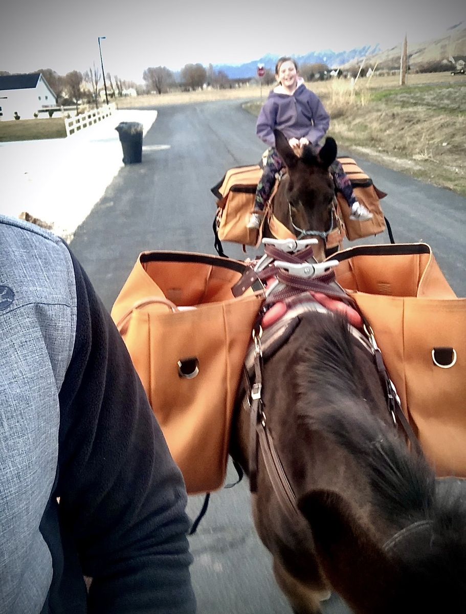 Steve Edwards Queen Valley Mule Pack Saddle