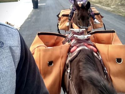 Steve Edwards Queen Valley Mule Pack Saddle