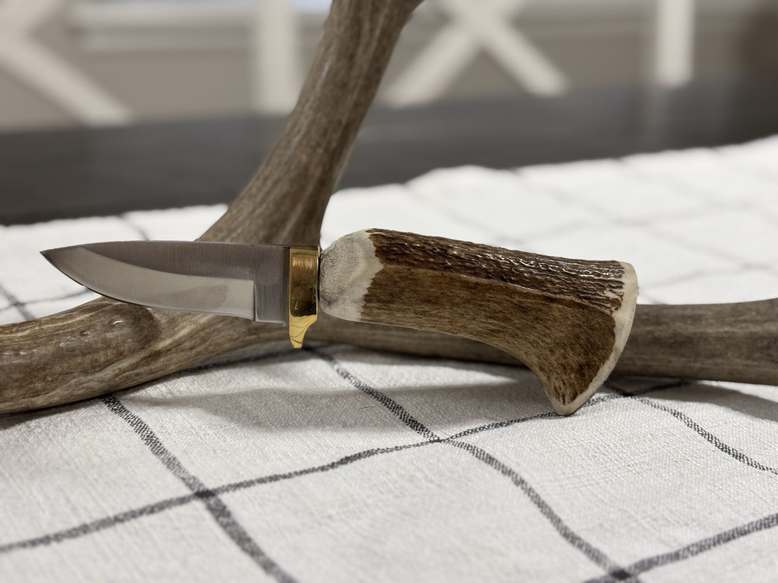Elk Antler knife