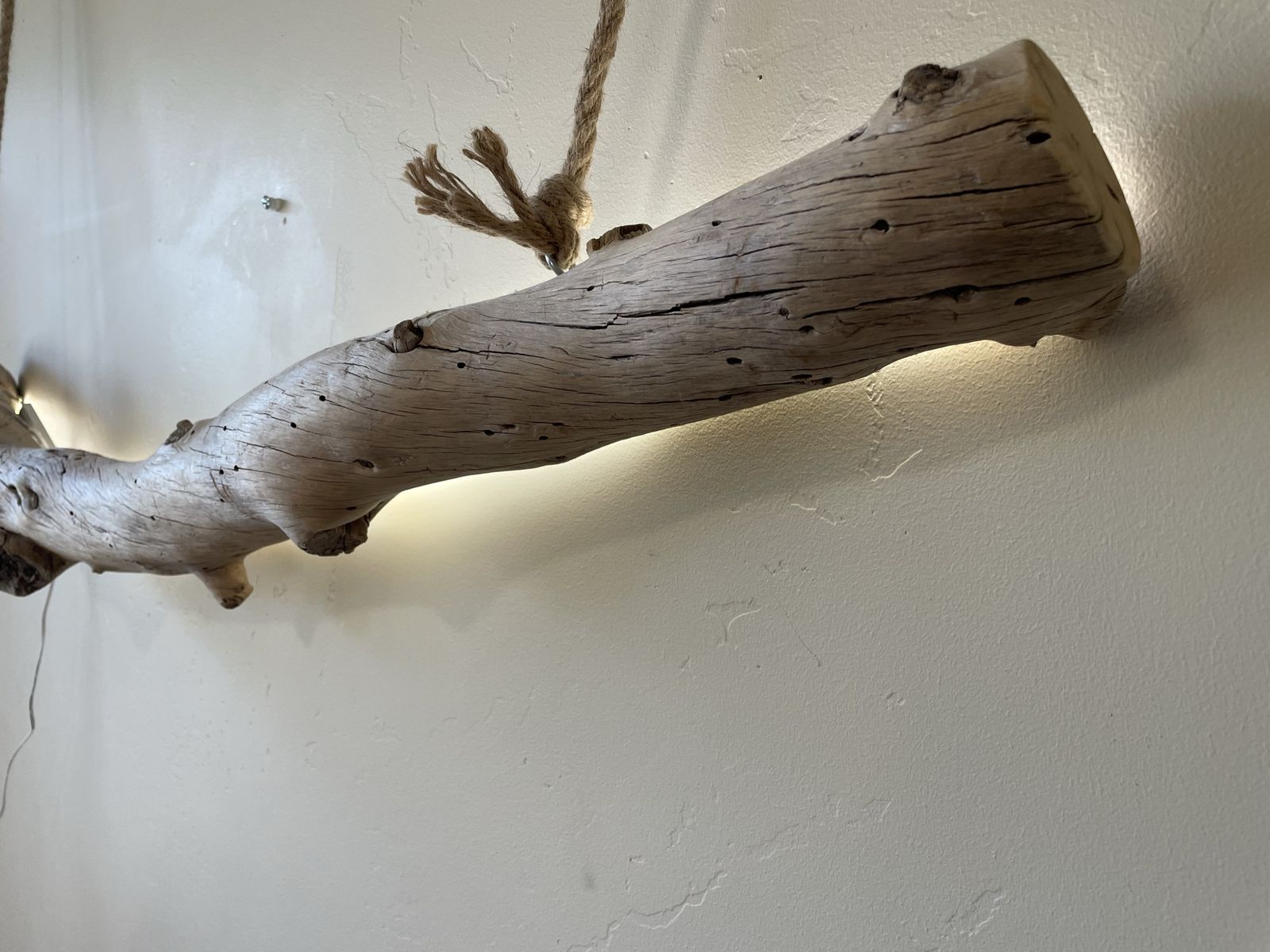 Main image 5