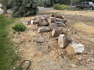 Free firewood