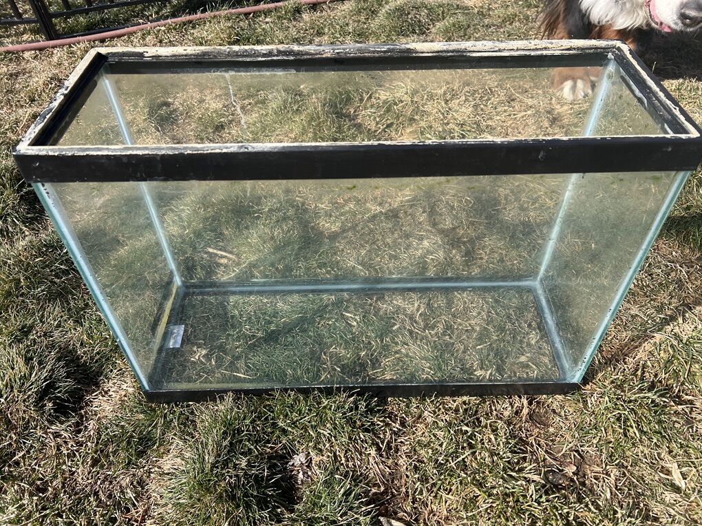 13 Gallon Fish Tank