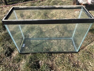 13 Gallon Fish Tank