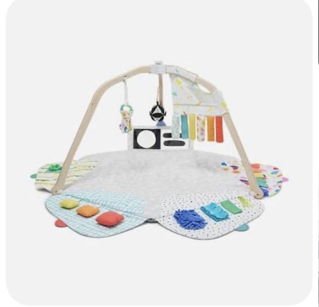 Lovevery Play Gym