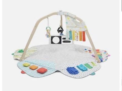 Lovevery Play Gym