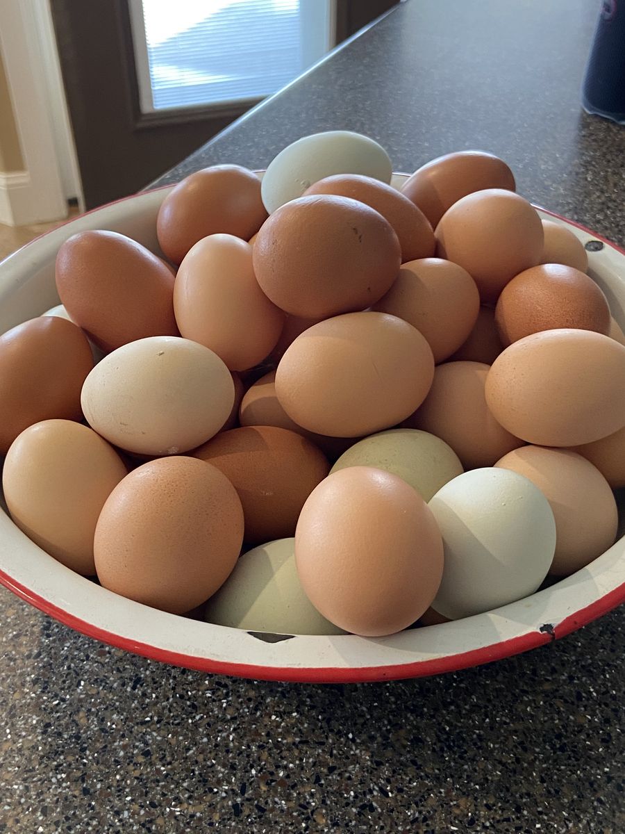 Farm Fresh Unwashed Eggs
