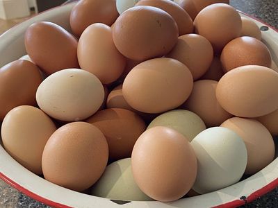 Farm Fresh Unwashed Eggs