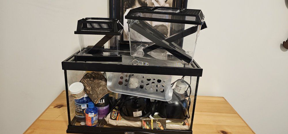reptile cage for sale everything seen included