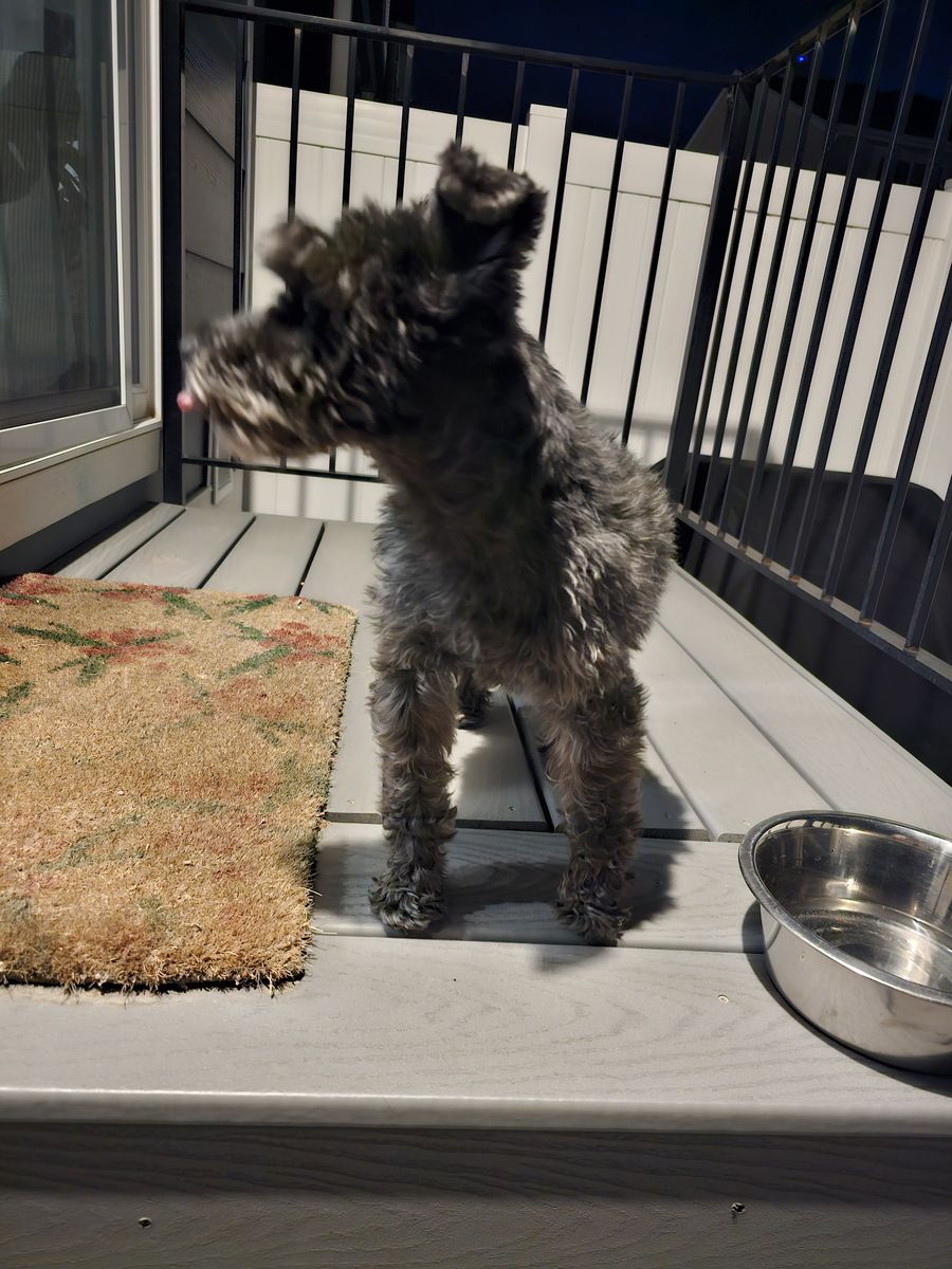 Owner found