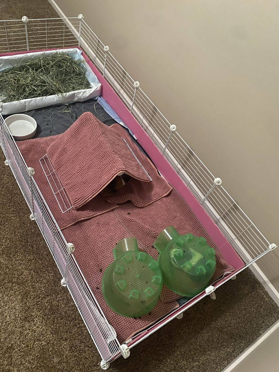 Main image 6
