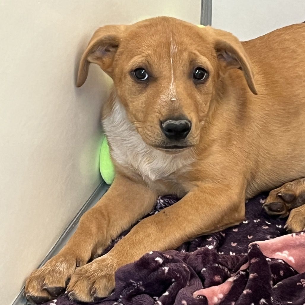 Hello my name is Hello