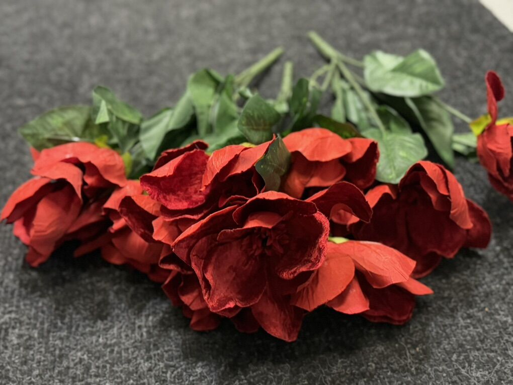 NEW fancy set of poinsettias!