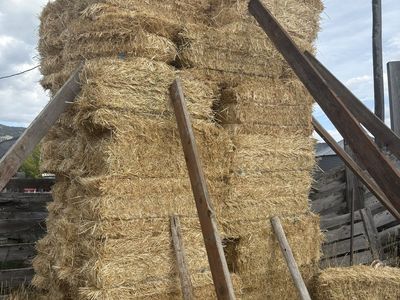 Wheat Straw