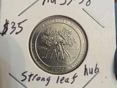 2020 Salt River Bay US Virgin Islands Quarter Strong Leaf Hub Doubling AU 55-58