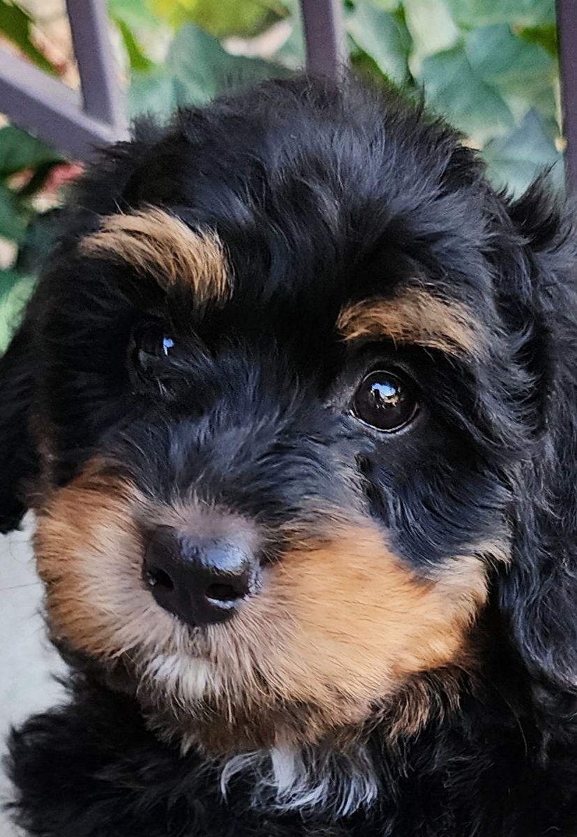 Main image 2