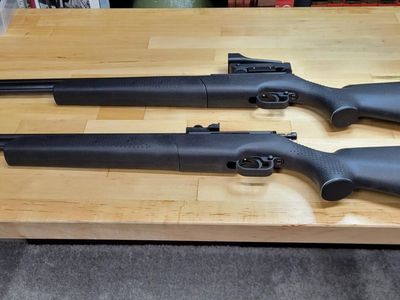 Beeman Model 1210 Pellet Guns