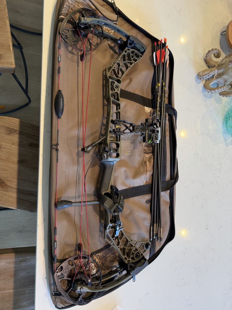 Mathews V3 31