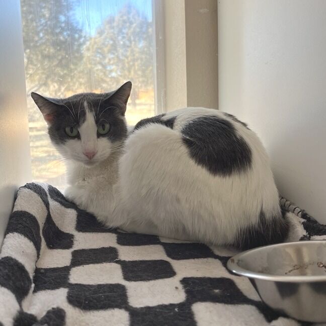 Hello my name is Teagan