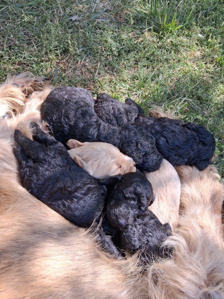 Main image 12