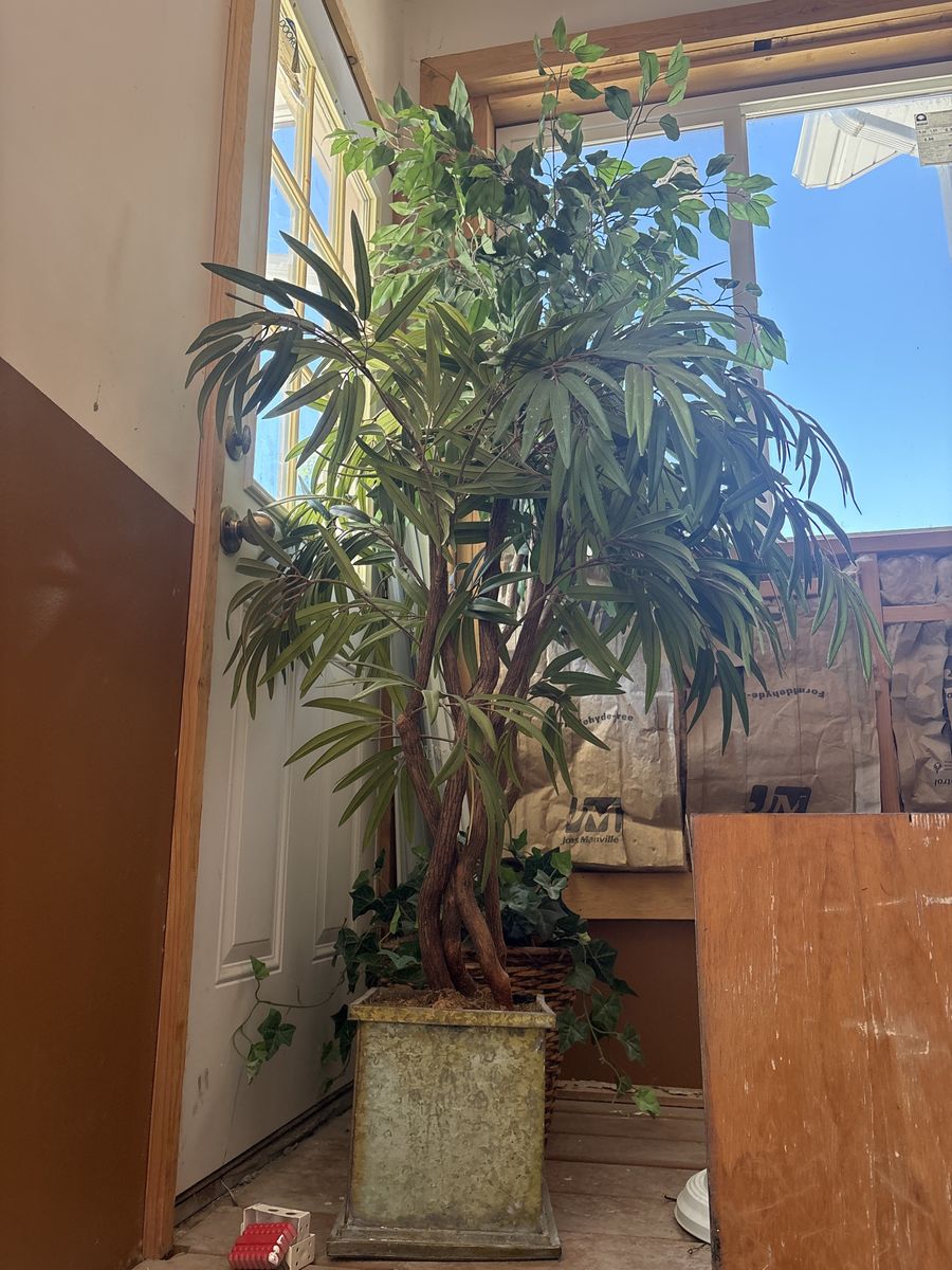 Large Artificial Ficus Tree in Decorative Square Planter - Lifelike Faux Plant Decor