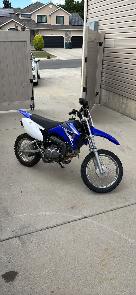 2009 Yamaha TTR110
