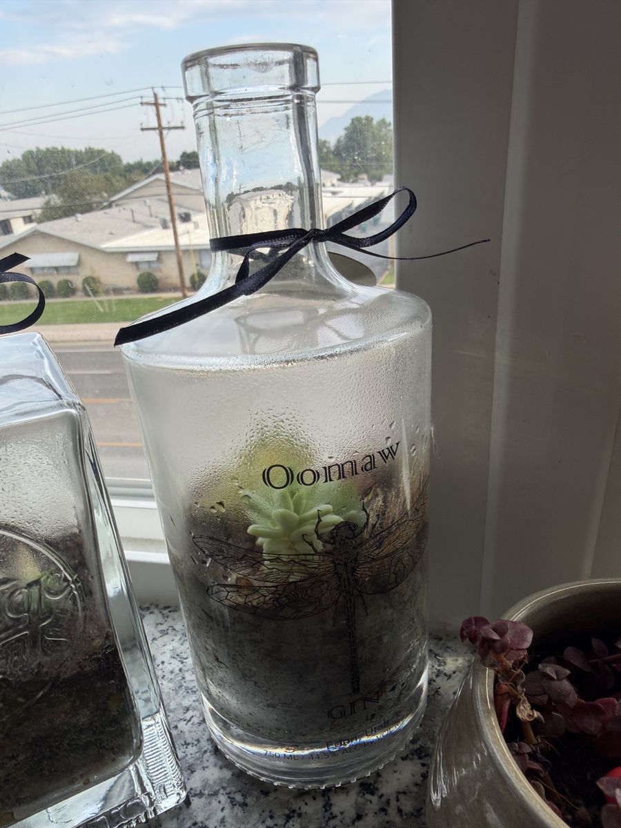 Handmade Oomaw Gin Bottle Terrarium with Live Succulents - Unique Home Decor