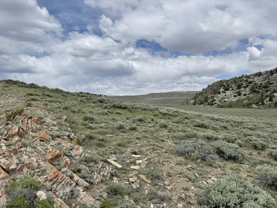 Main image 6