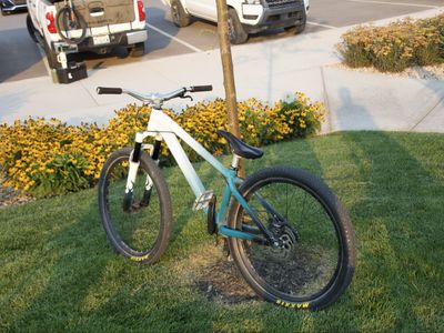 Dirt jumper