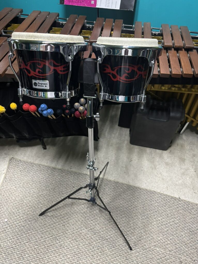 LP Performer Series Bongos with Stand