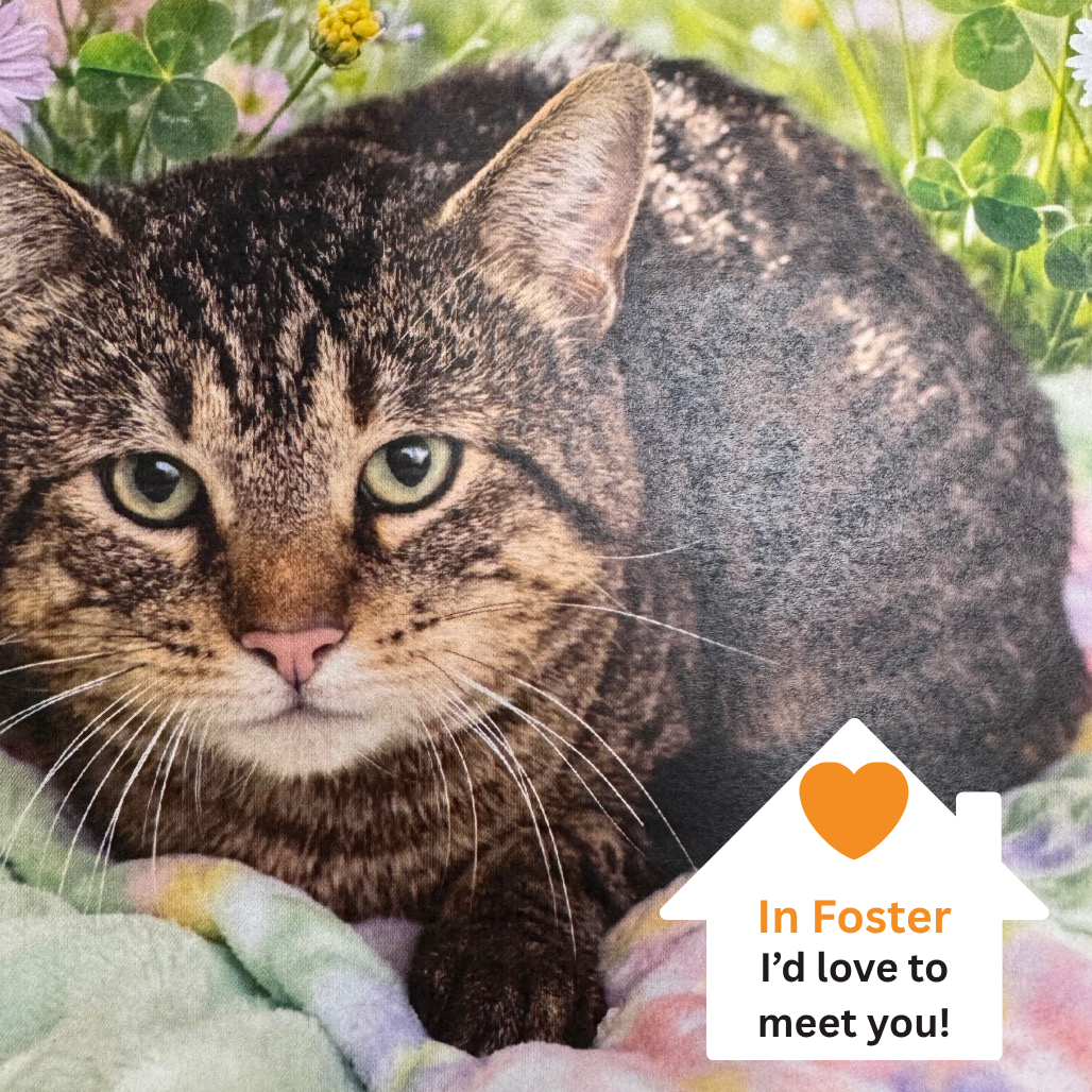 Hello my name is Butch Cassidy