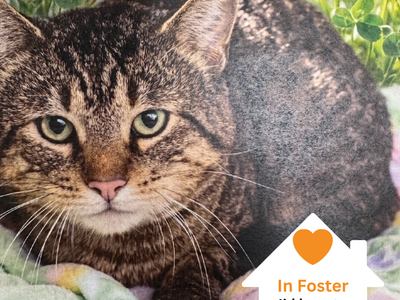 Hello my name is Butch Cassidy