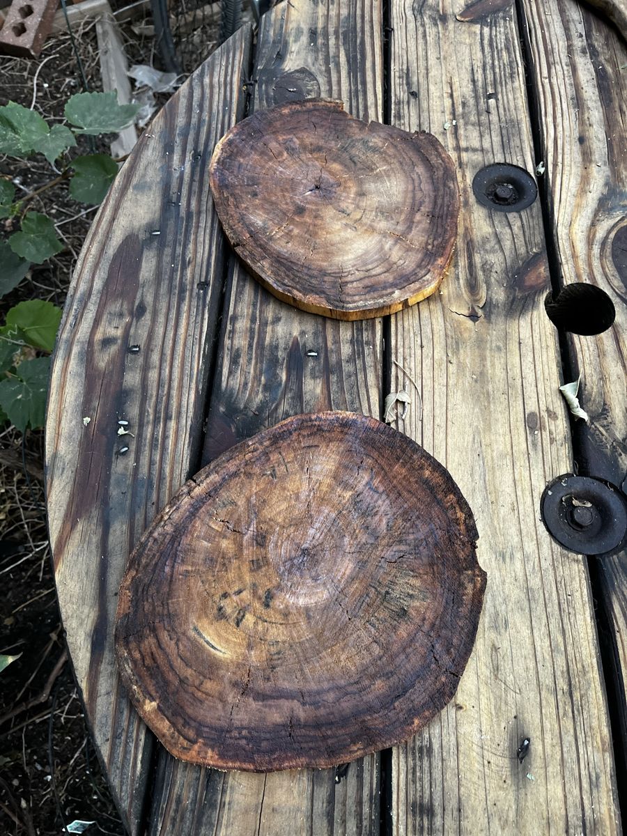 Natural Rustic Wood Slices - Set of 2