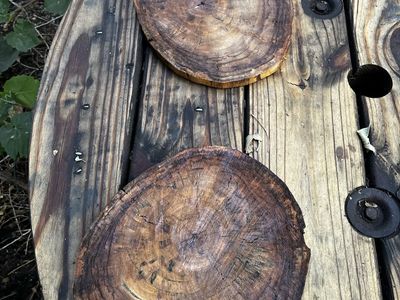 Natural Rustic Wood Slices - Set of 2