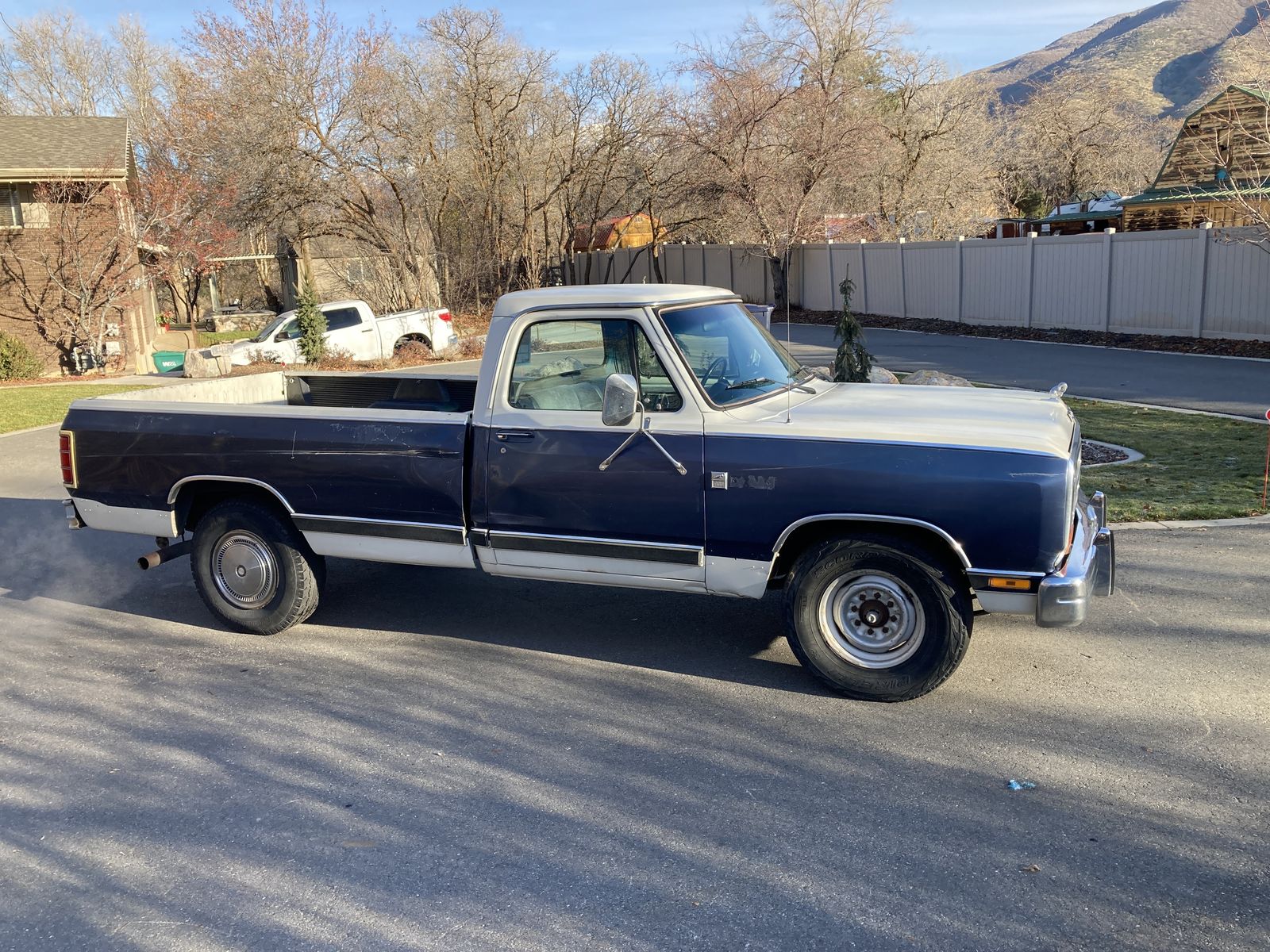 1987 DODGE RAM 250 Base