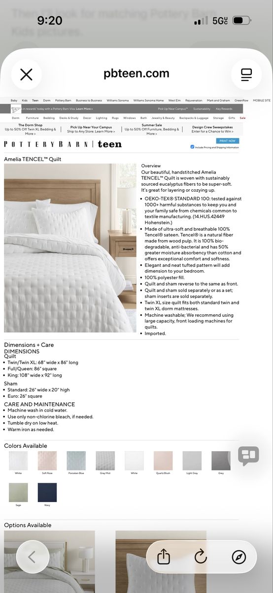Pottery Barn Teen Amelia Tencel Quilt